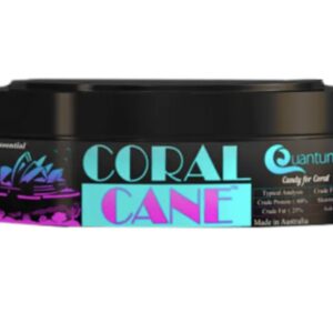 Coral Food
